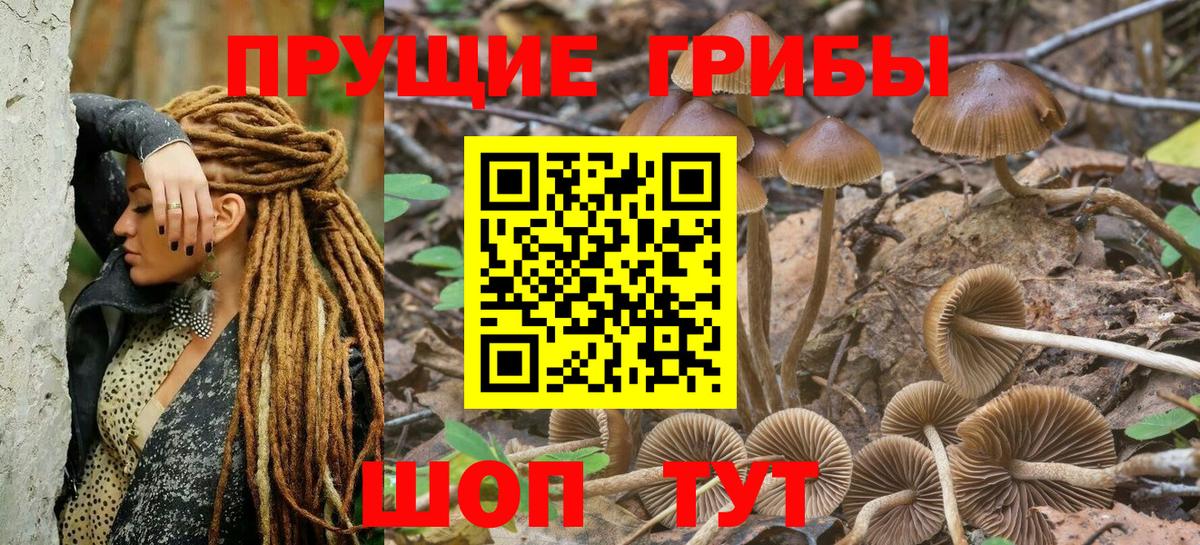 Галлюциногенные грибы MAGIC MUSHROOMS Жигулёвск