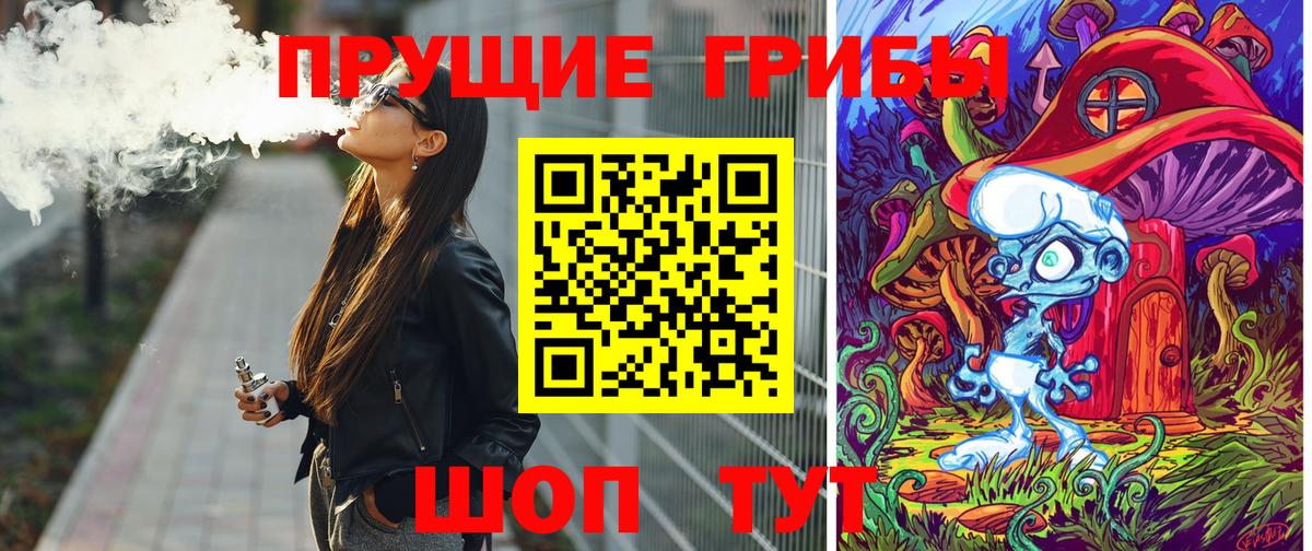 Жигулёвск  Псилоцибиновые грибы прущие грибы  Вход с VPN 